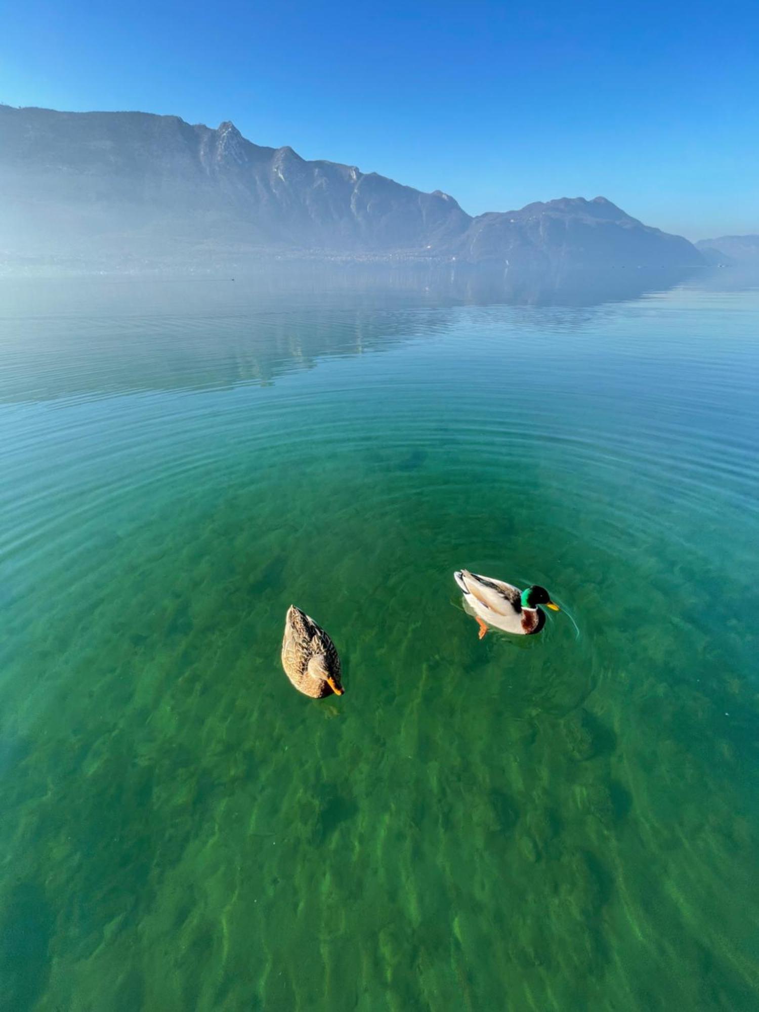 “L'Escapade”, Entre Lac Et Montagne Saint-Alban  ภายนอก รูปภาพ